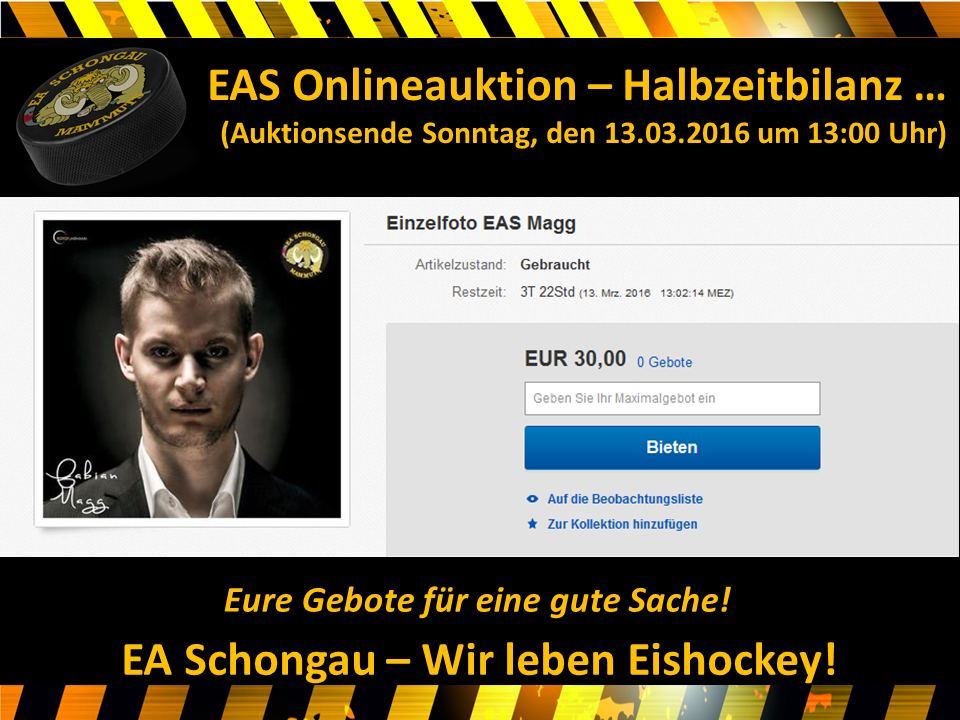 EAS Ende Onlineauktion
